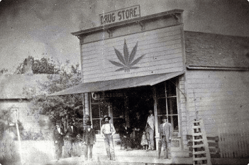Montana cannabis history